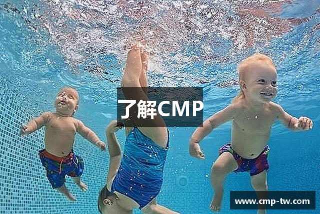 了解CMP